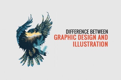 Digital Illustration vs. Graphic Design [Infographic]