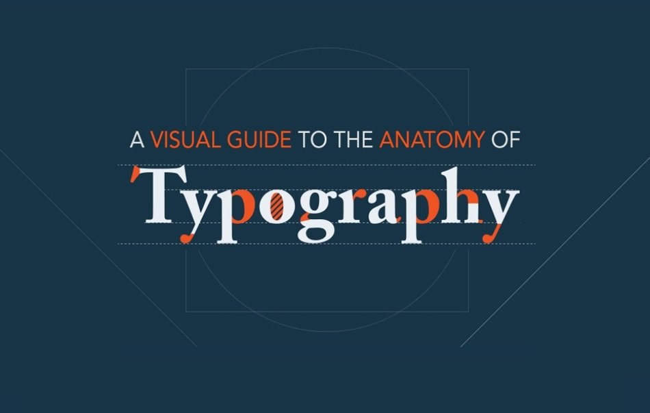 A Visual Guide to the Anatomy of Typography [Infographic]