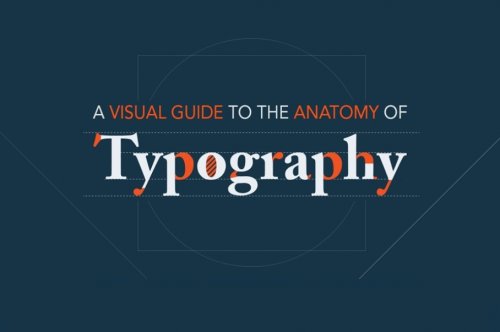 A Visual Guide to the Anatomy of Typography [Infographic]