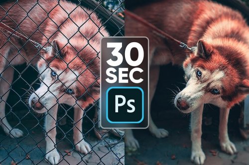 How to Remove Fences | 30-sec Photoshop! #Shorts