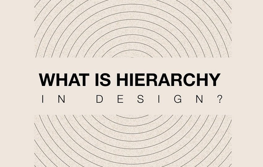 what-is-hierarchy-in-design-design-anything