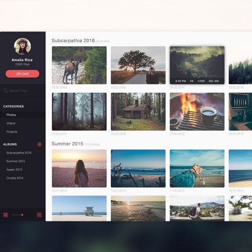 Photo Management Dashboard - Design Anything