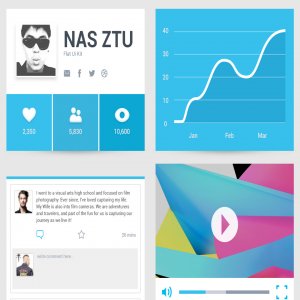 NAS Flat UI Kit