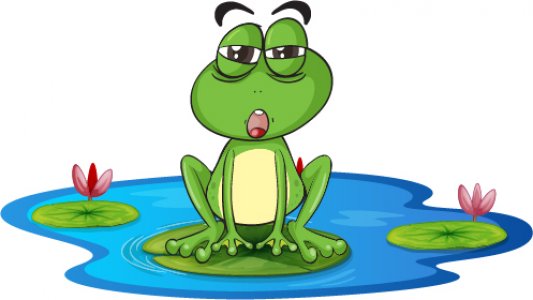 Frog Illustraion