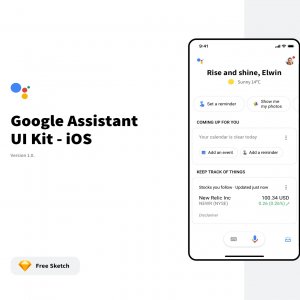 Google Assistant UI Kit