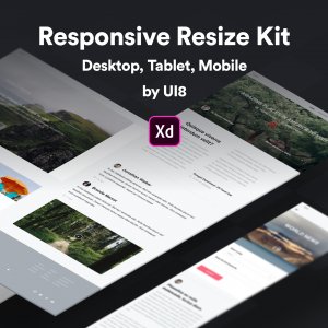 Responsive Resize Kit