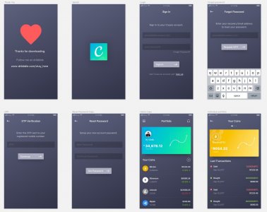 Crypto Wallet App Free UI Kit