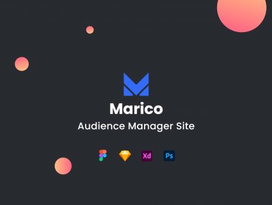 Marico - Audience Manager Site