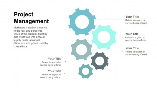 Project Management Infographics