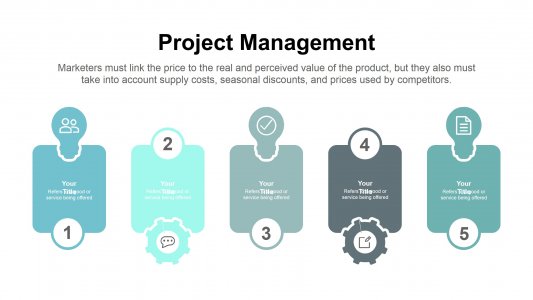 Project Management Infographics