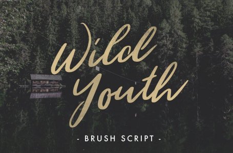 Wild Youth Regular price FREE