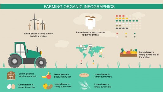 Ecology Infographics