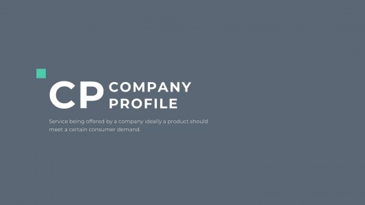Company Profile Presentation