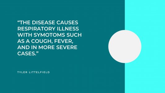 Stop Covid19 from Spreading Presentation