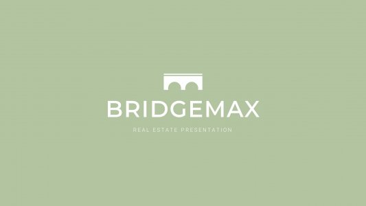 Bridgemax Presentation
